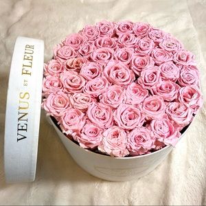 VENUS ET FLEUR, Large Round, Pink Roses